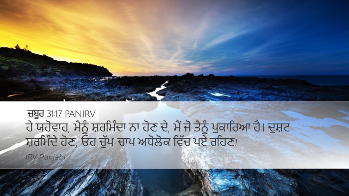ਜ਼ਬੂਰ 31:17 PANIRV Bible Verse Image