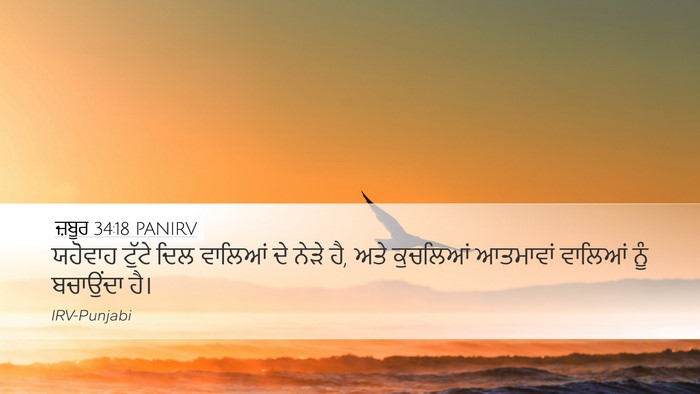 ਜ਼ਬੂਰ 34:18 PANIRV Bible Verse Image