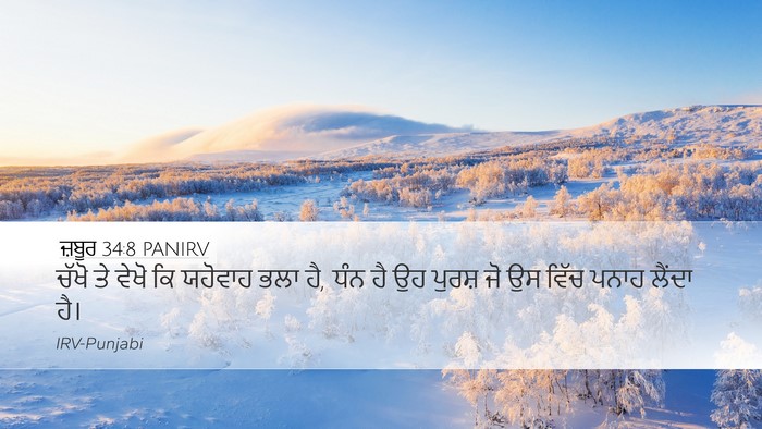 ਜ਼ਬੂਰ 34:8 PANIRV Bible Verse Image