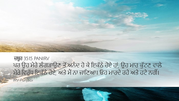 ਜ਼ਬੂਰ 35:15 PANIRV Bible Verse Image