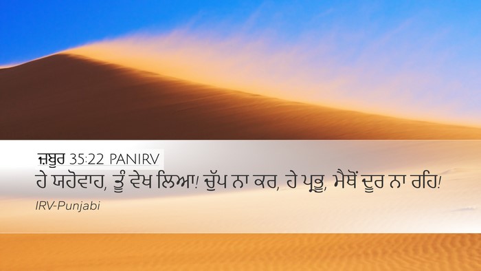 ਜ਼ਬੂਰ 35:22 PANIRV Bible Verse Image
