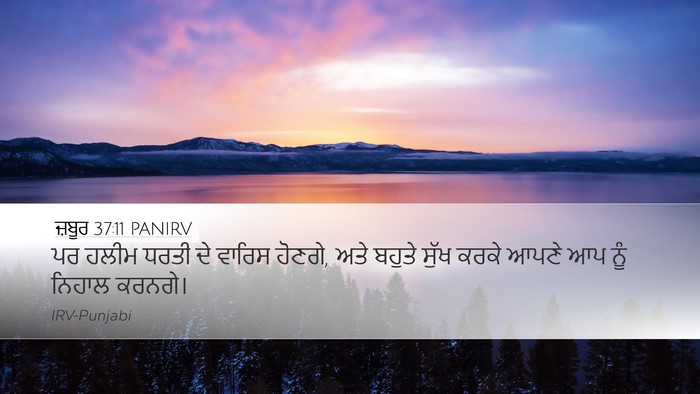 ਜ਼ਬੂਰ 37:11 PANIRV Bible Verse Image