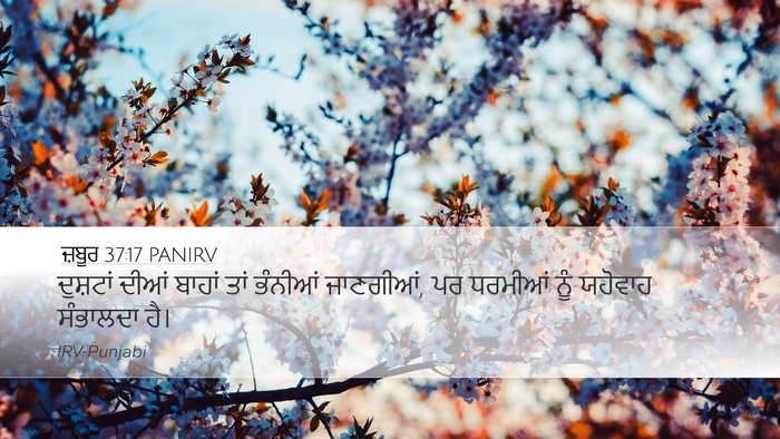 ਜ਼ਬੂਰ 37:17 PANIRV Bible Verse Image