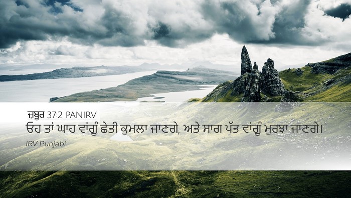 ਜ਼ਬੂਰ 37:2 PANIRV Bible Verse Image