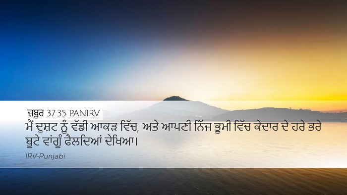 ਜ਼ਬੂਰ 37:35 PANIRV Bible Verse Image