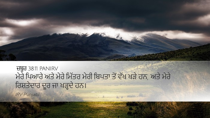 ਜ਼ਬੂਰ 38:11 PANIRV Bible Verse Image