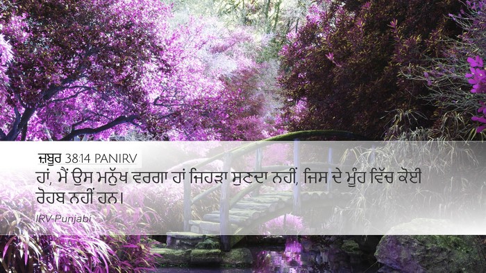 ਜ਼ਬੂਰ 38:14 PANIRV Desktop Wallpaper - ਹਾਂ, ਮੈਂ ਉਸ ਮਨੁੱਖ - Desktop Bible Verse Wallpaper