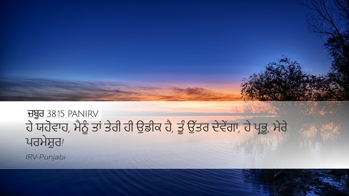 ਜ਼ਬੂਰ 38:15 PANIRV Desktop Wallpaper - ਹੇ ਯਹੋਵਾਹ, ਮੈਨੂੰ - Desktop Bible Verse Wallpaper