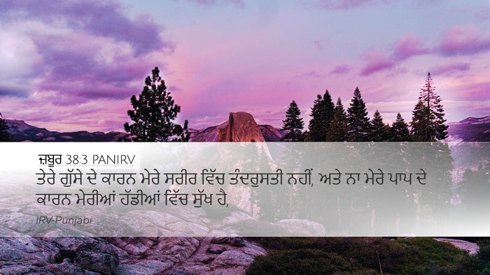 ਜ਼ਬੂਰ 38:3 PANIRV Bible Verse Image