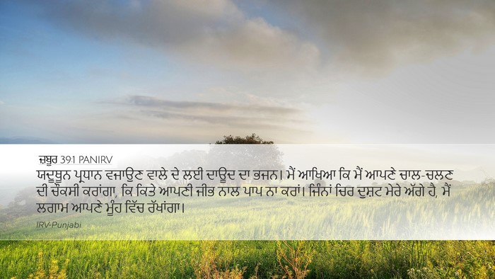ਜ਼ਬੂਰ 39:1 PANIRV Bible Verse Image