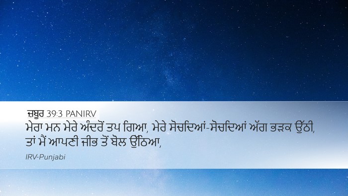 ਜ਼ਬੂਰ 39:3 PANIRV Bible Verse Image