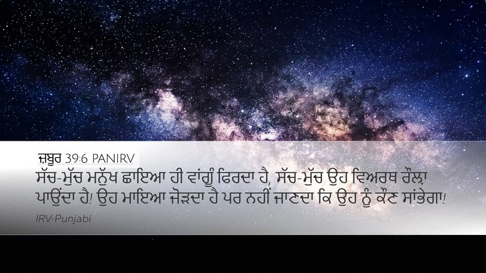 ਜ਼ਬੂਰ 39:6 PANIRV Bible Verse Image
