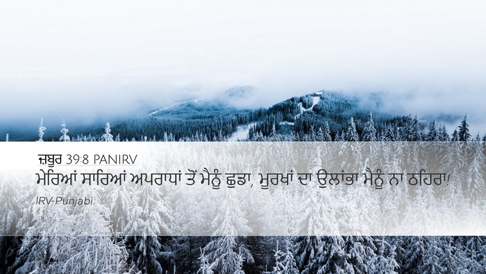 ਜ਼ਬੂਰ 39:8 PANIRV Bible Verse Image