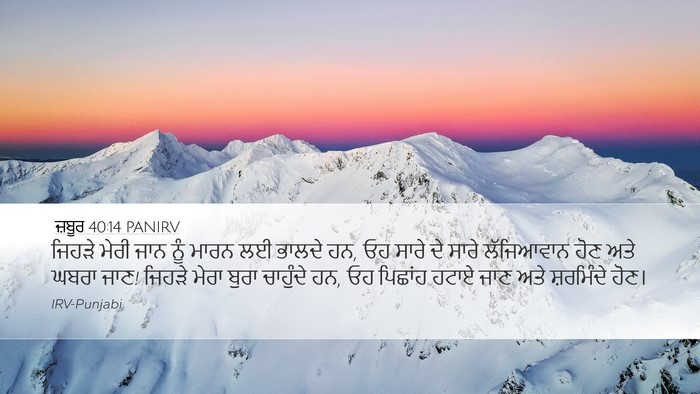 ਜ਼ਬੂਰ 40:14 PANIRV Bible Verse Image