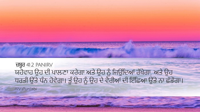 ਜ਼ਬੂਰ 41:2 PANIRV Bible Verse Image