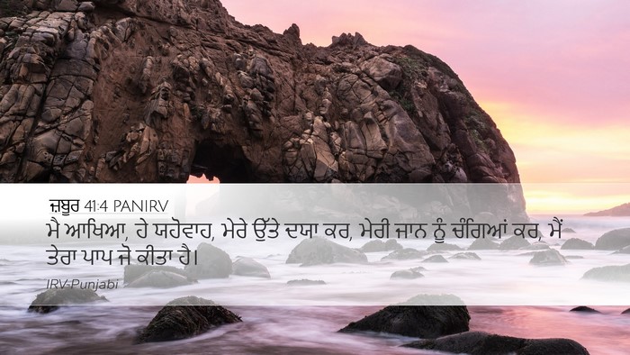 ਜ਼ਬੂਰ 41:4 PANIRV Bible Verse Image