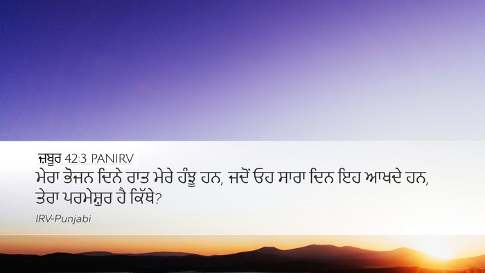 ਜ਼ਬੂਰ 42:3 PANIRV Bible Verse Image