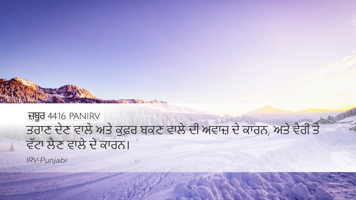 ਜ਼ਬੂਰ 44:16 PANIRV Bible Verse Image