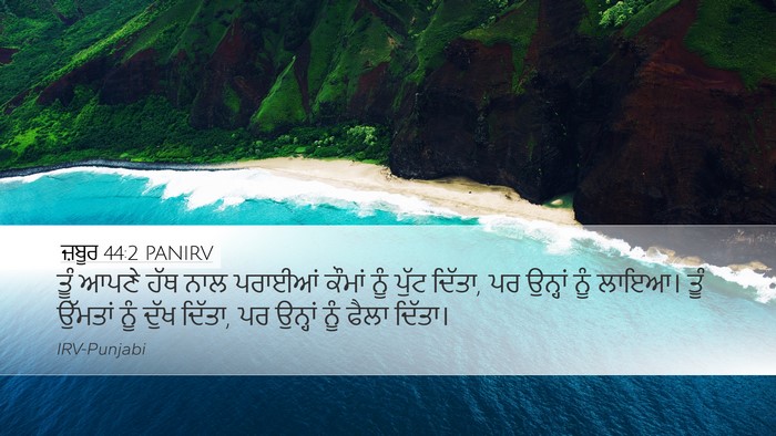 ਜ਼ਬੂਰ 44:2 PANIRV Bible Verse Image