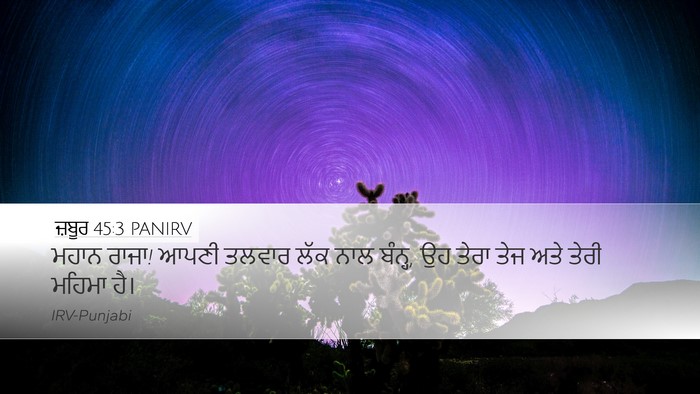 ਜ਼ਬੂਰ 45:3 PANIRV Bible Verse Image