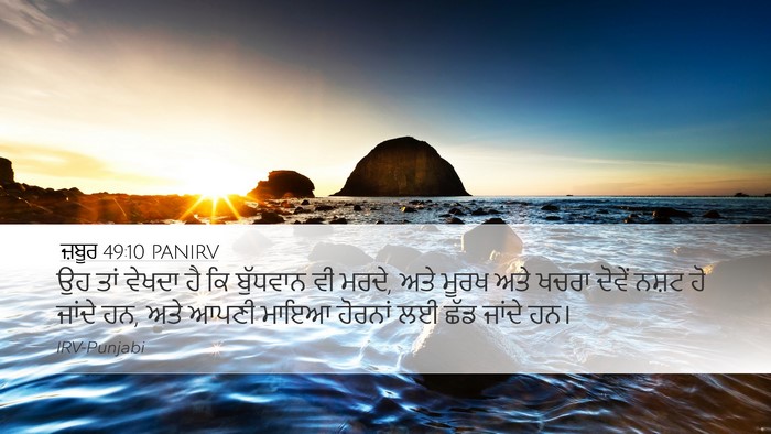 ਜ਼ਬੂਰ 49:10 PANIRV Bible Verse Image