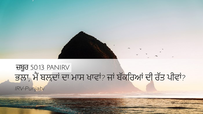 ਜ਼ਬੂਰ 50:13 PANIRV Bible Verse Image