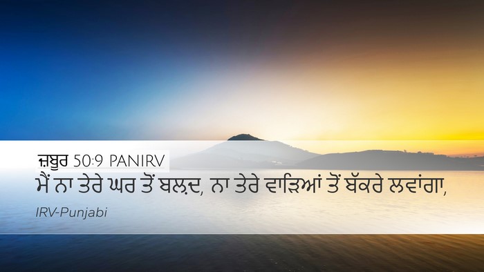 ਜ਼ਬੂਰ 50:9 PANIRV Desktop Wallpaper - ਮੈਂ ਨਾ ਤੇਰੇ ਘਰ ਤੋਂ - Desktop Bible Verse Wallpaper