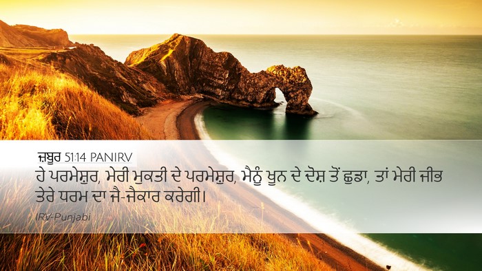 ਜ਼ਬੂਰ 51:14 PANIRV Bible Verse Image