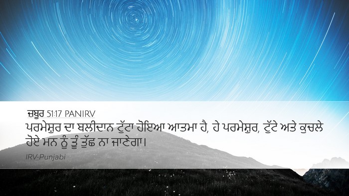 ਜ਼ਬੂਰ 51:17 PANIRV Bible Verse Image