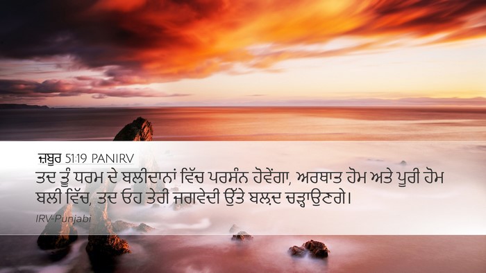 ਜ਼ਬੂਰ 51:19 PANIRV Bible Verse Image