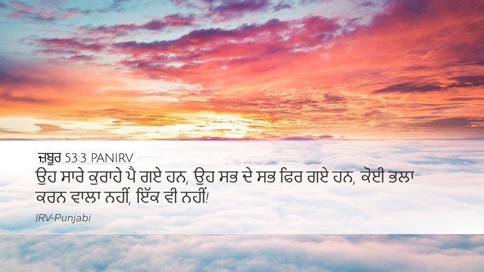 ਜ਼ਬੂਰ 53:3 PANIRV Desktop Wallpaper - ਉਹ ਸਾਰੇ ਕੁਰਾਹੇ ਪੈ - Desktop Bible Verse Wallpaper