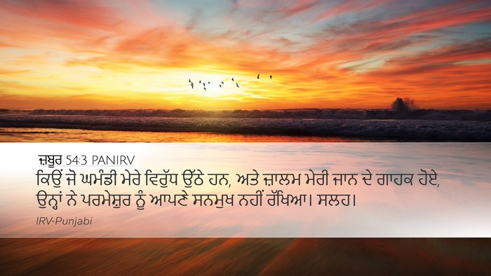 ਜ਼ਬੂਰ 54:3 PANIRV Bible Verse Image