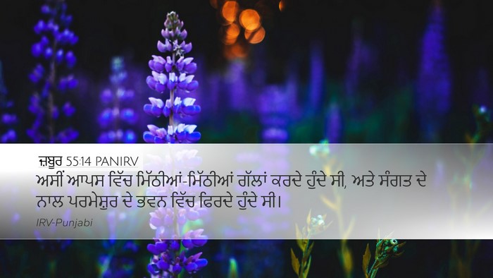ਜ਼ਬੂਰ 55:14 PANIRV Bible Verse Image