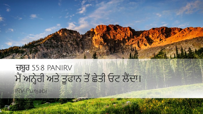 ਜ਼ਬੂਰ 55:8 PANIRV Bible Verse Image