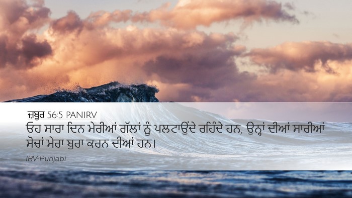 ਜ਼ਬੂਰ 56:5 PANIRV Bible Verse Image