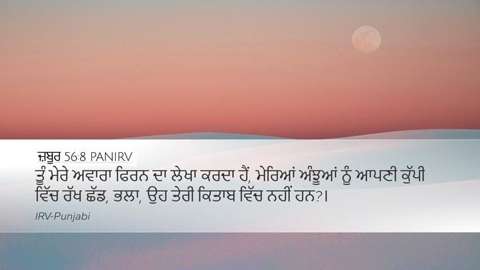 ਜ਼ਬੂਰ 56:8 PANIRV Bible Verse Image