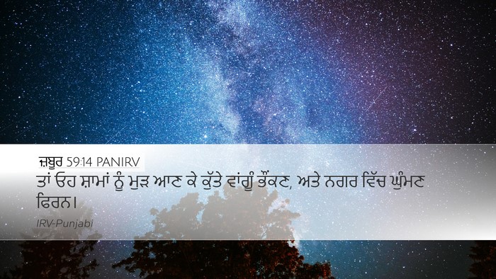 ਜ਼ਬੂਰ 59:14 PANIRV Desktop Wallpaper - ਤਾਂ ਓਹ ਸ਼ਾਮਾਂ ਨੂੰ - Desktop Bible Verse Wallpaper