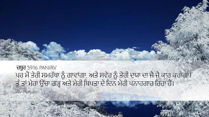 ਜ਼ਬੂਰ 59:16 PANIRV Bible Verse Image