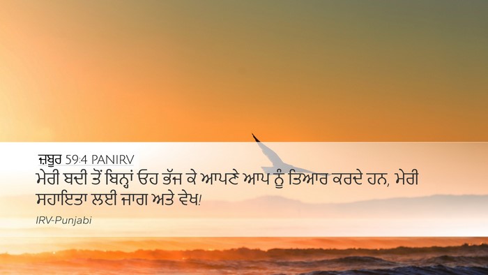 ਜ਼ਬੂਰ 59:4 PANIRV Bible Verse Image