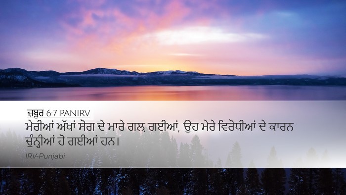 ਜ਼ਬੂਰ 6:7 PANIRV Bible Verse Image