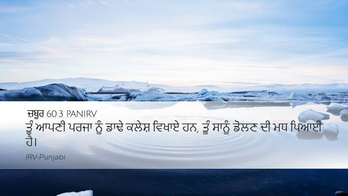 ਜ਼ਬੂਰ 60:3 PANIRV Desktop Wallpaper - ਤੂੰ ਆਪਣੀ ਪਰਜਾ ਨੂੰ - Desktop Bible Verse Wallpaper