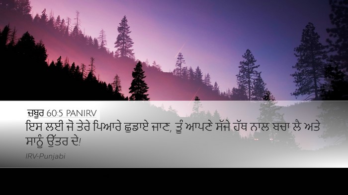 ਜ਼ਬੂਰ 60:5 PANIRV Bible Verse Image