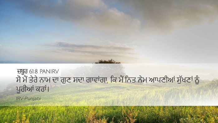 ਜ਼ਬੂਰ 61:8 PANIRV Bible Verse Image
