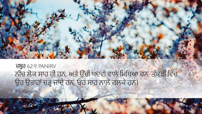 ਜ਼ਬੂਰ 62:9 PANIRV Bible Verse Image