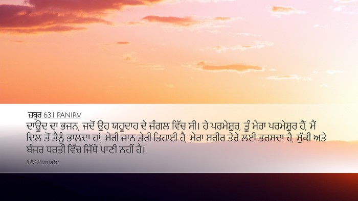 ਜ਼ਬੂਰ 63:1 PANIRV Bible Verse Image