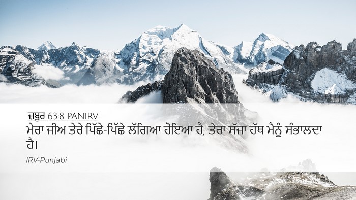 ਜ਼ਬੂਰ 63:8 PANIRV Bible Verse Image