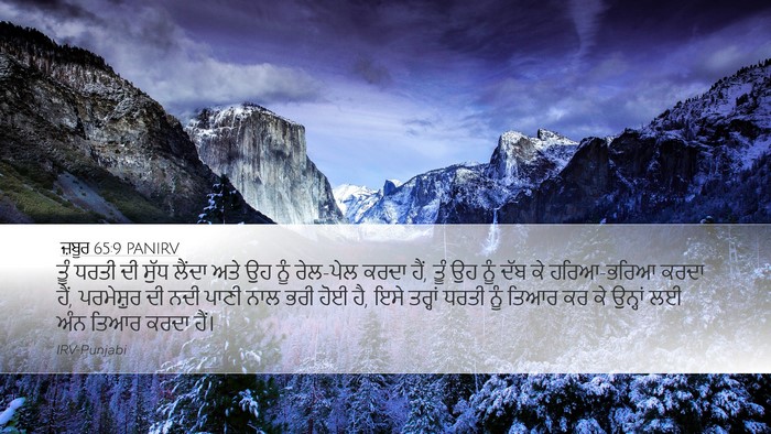 ਜ਼ਬੂਰ 65:9 PANIRV Bible Verse Image