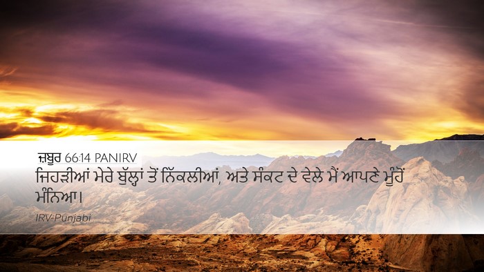 ਜ਼ਬੂਰ 66:14 PANIRV Bible Verse Image