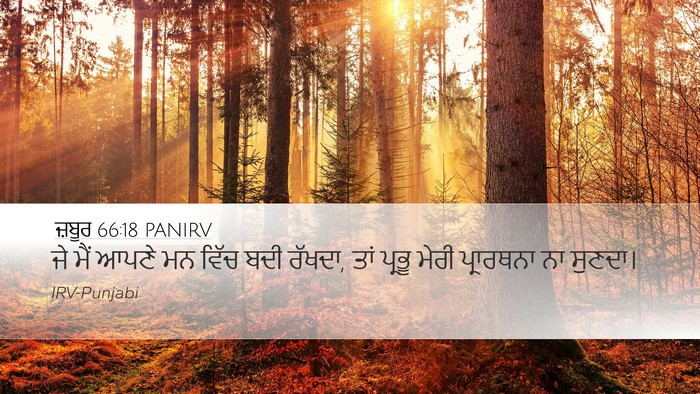 ਜ਼ਬੂਰ 66:18 PANIRV Bible Verse Image