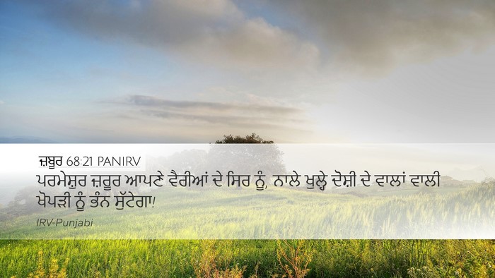 ਜ਼ਬੂਰ 68:21 PANIRV Bible Verse Image
